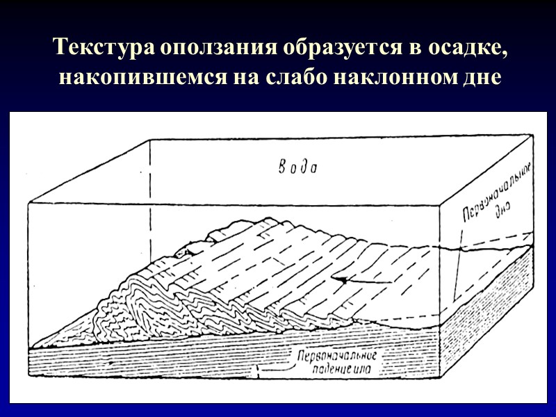 Текстура оползания образуется в осадке, накопившемся на слабо наклонном дне